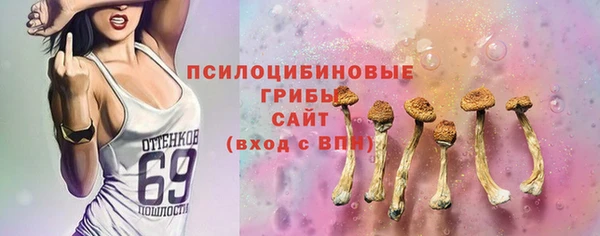 ГАЛЛЮЦИНОГЕННЫЕ ГРИБЫ Алексин