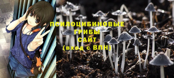 ГАЛЛЮЦИНОГЕННЫЕ ГРИБЫ Алексин