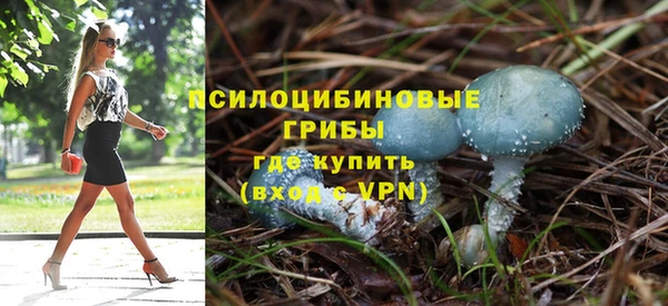 ГАЛЛЮЦИНОГЕННЫЕ ГРИБЫ Алексин